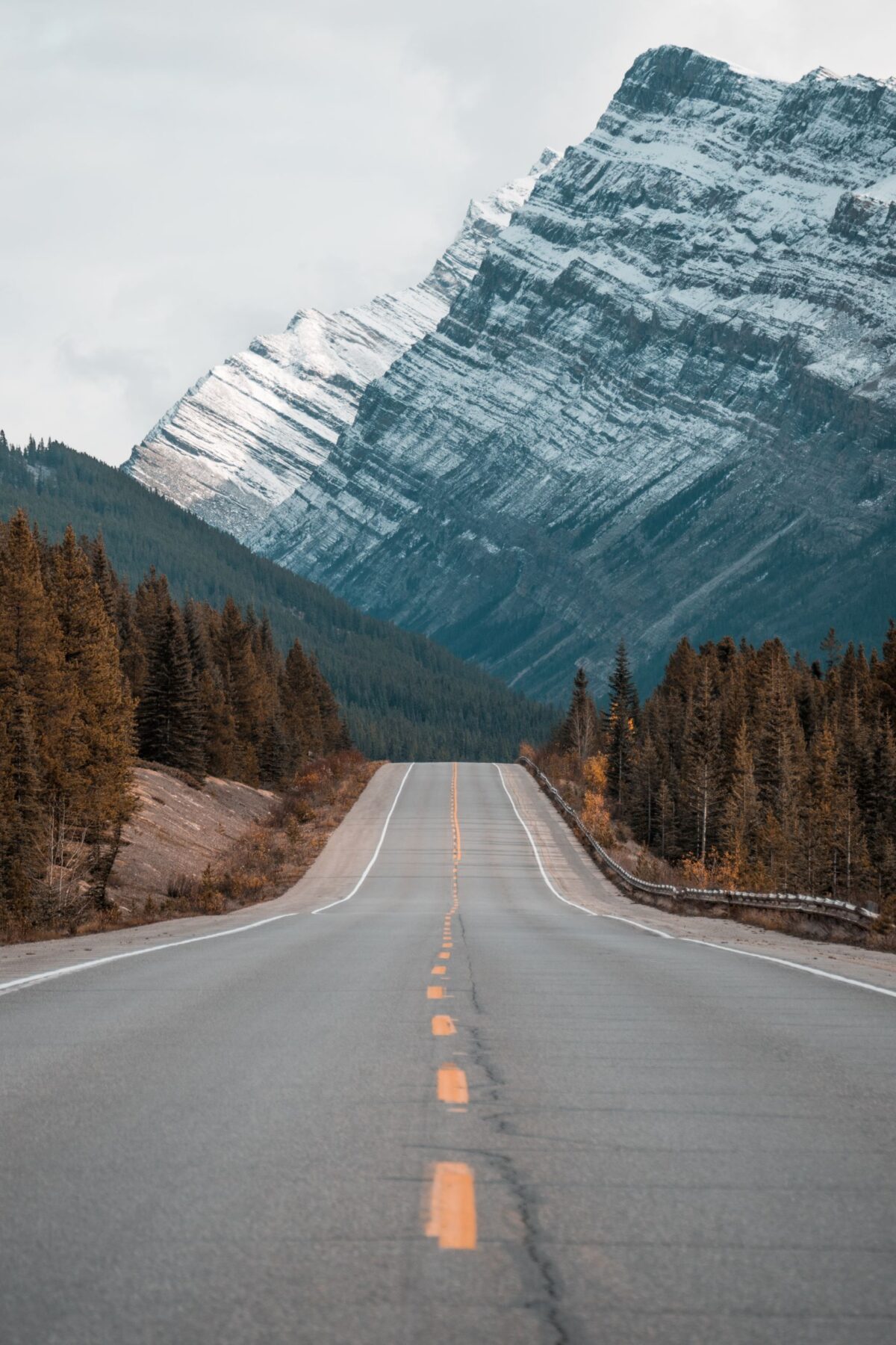 mark-basarab-z8ct_Q3oCqM-unsplash